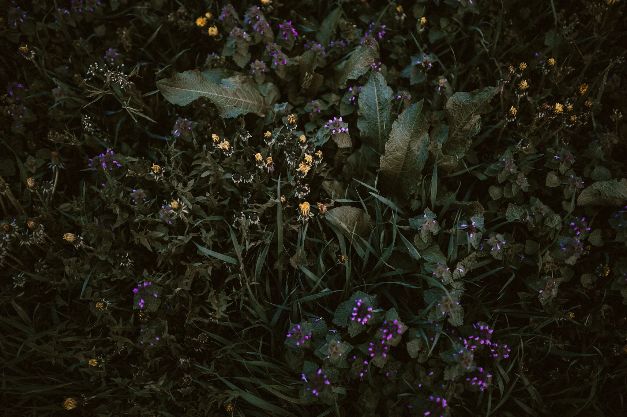 Burton Wedding - BLOG (456).jpg