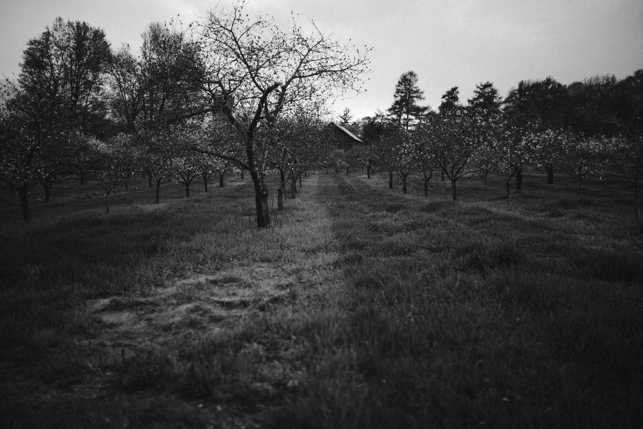 Burton Wedding - BLOG (459).jpg