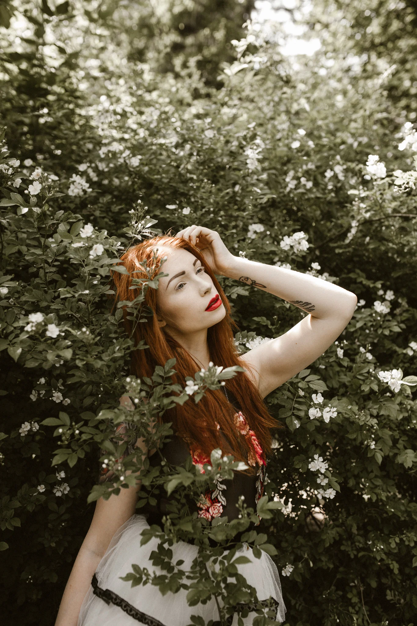 Kat-in-the-garden-010fb.jpg