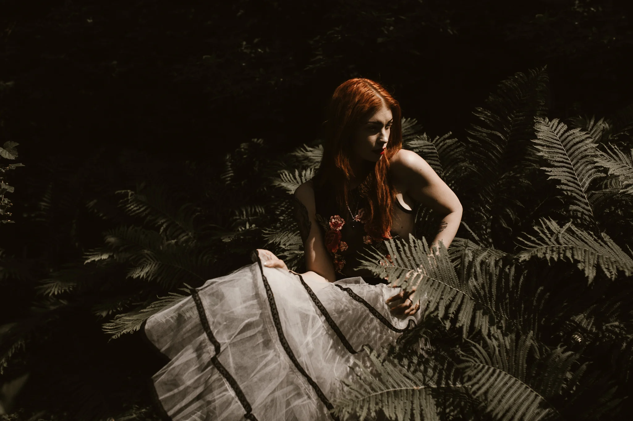 Kat-in-the-garden-108fb.jpg