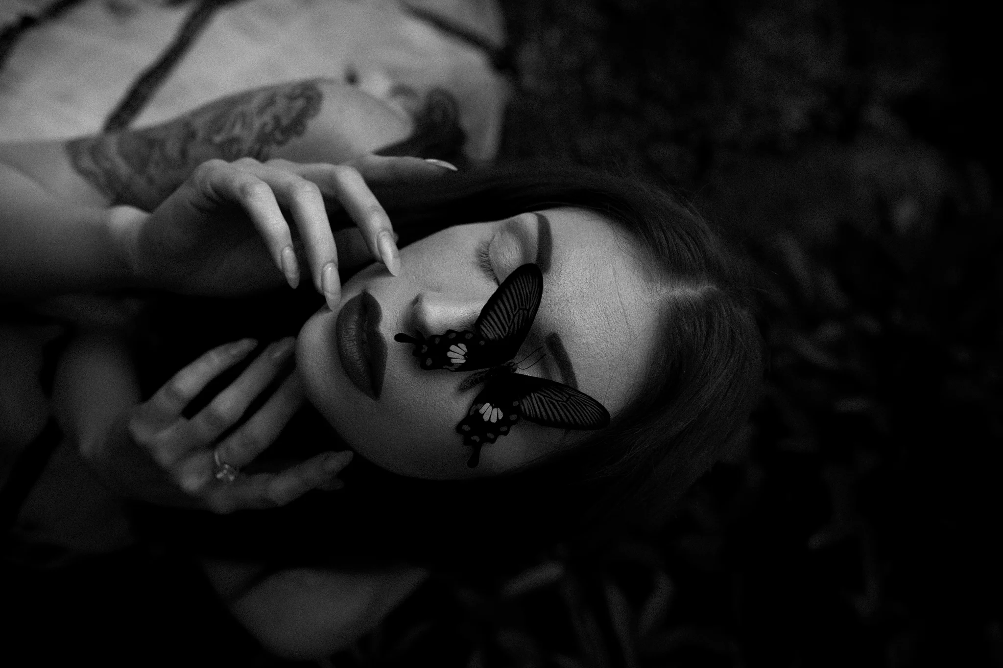 Kat-in-the-garden-169fb.jpg