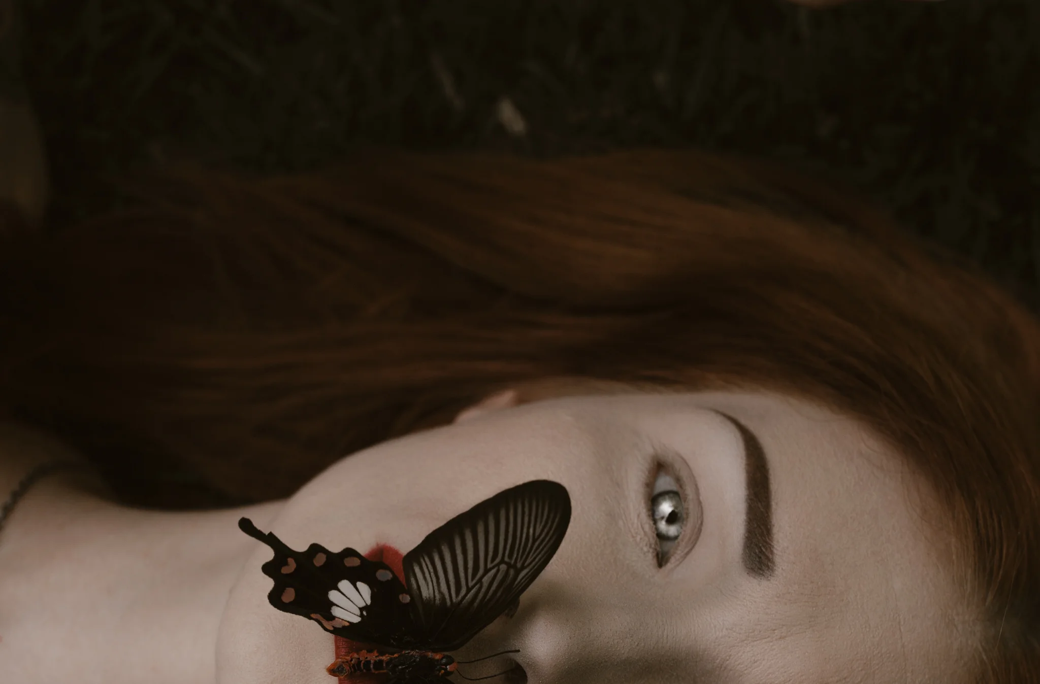 Kat-in-the-garden-184fb.jpg