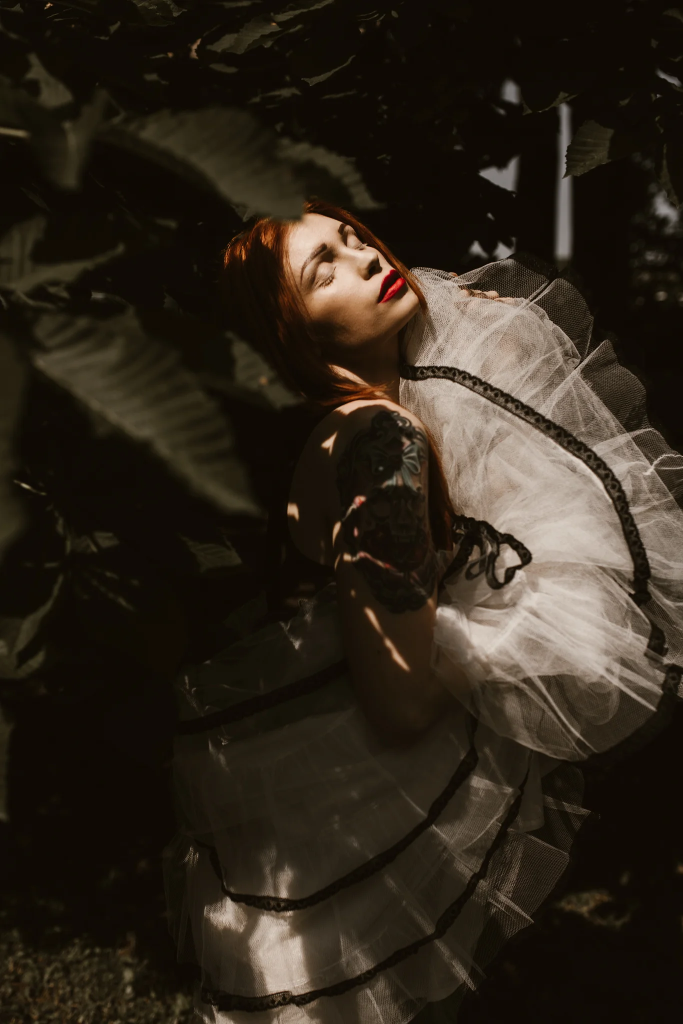 Kat-in-the-garden-237fb.jpg