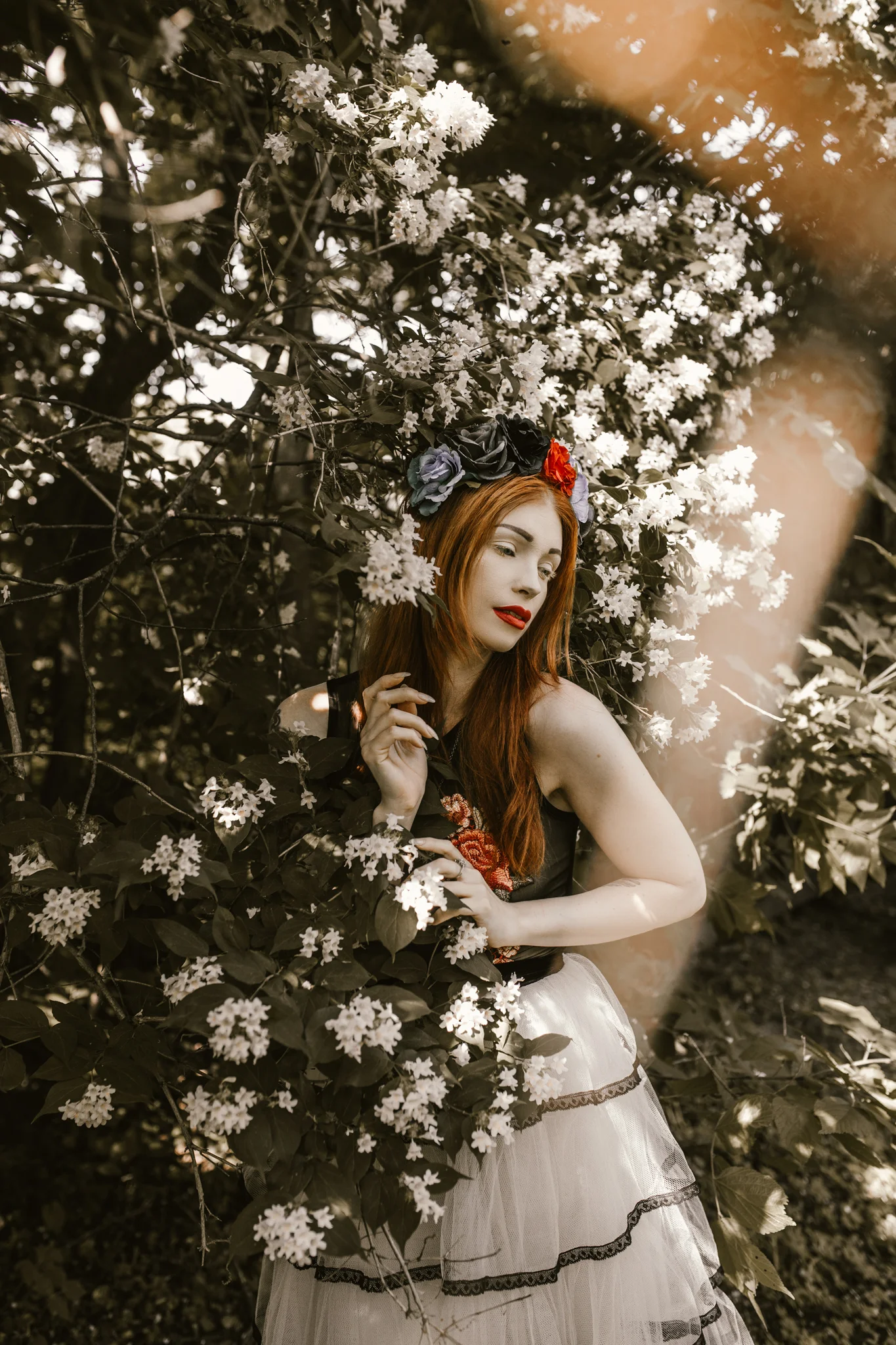 Kat-in-the-garden-254fb.jpg