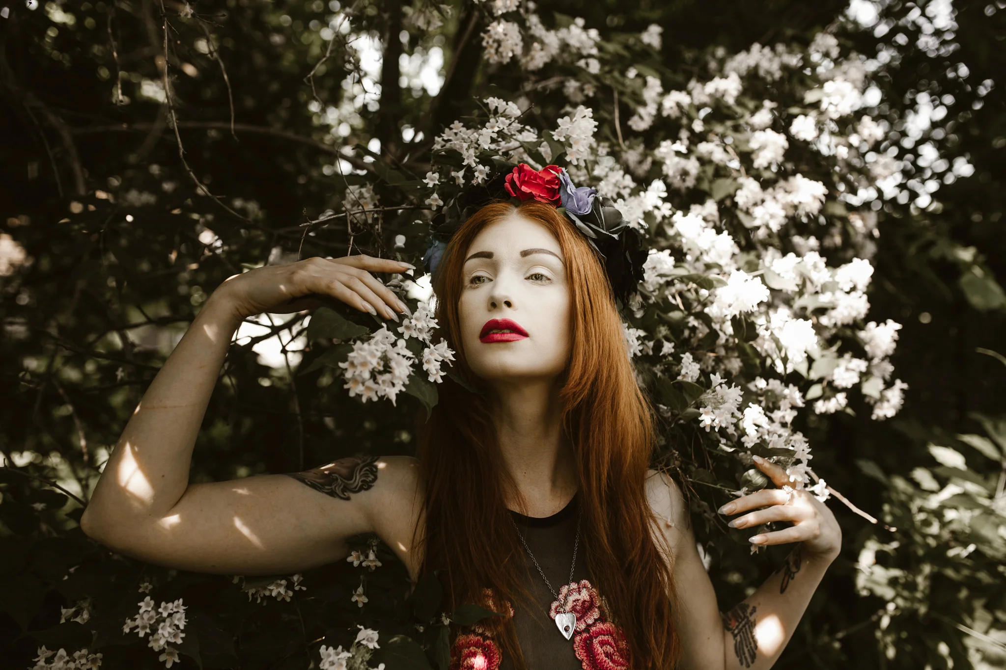 Kat-in-the-garden-265fb.jpg