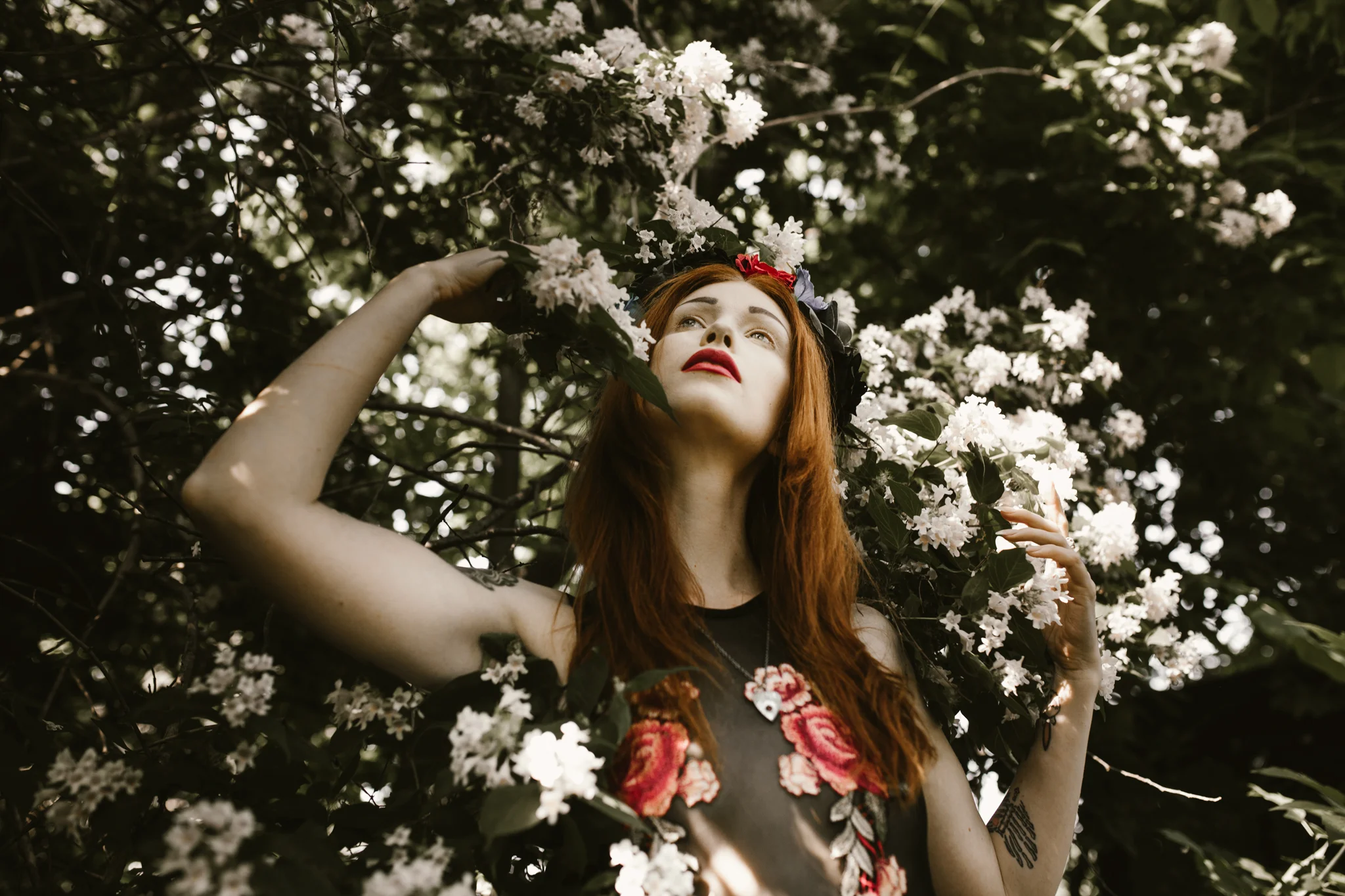Kat-in-the-garden-266fb.jpg