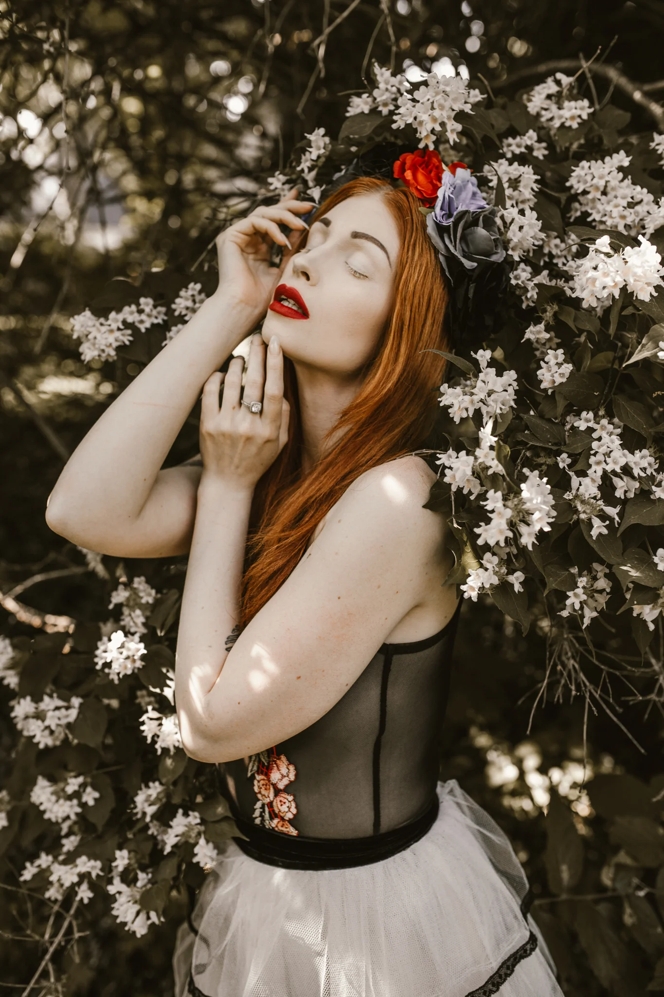 Kat-in-the-garden-274fb.jpg