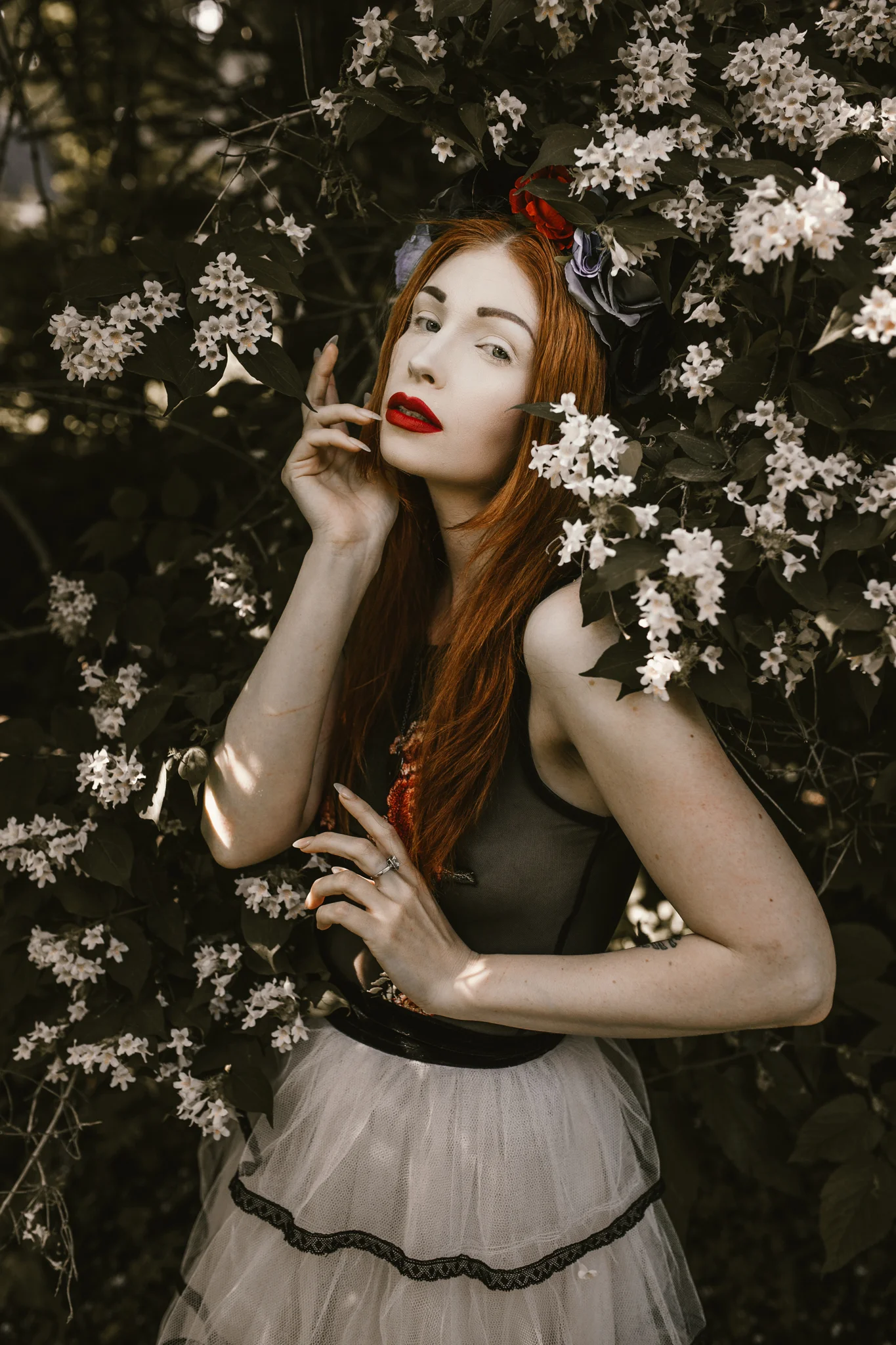 Kat-in-the-garden-278fb.jpg