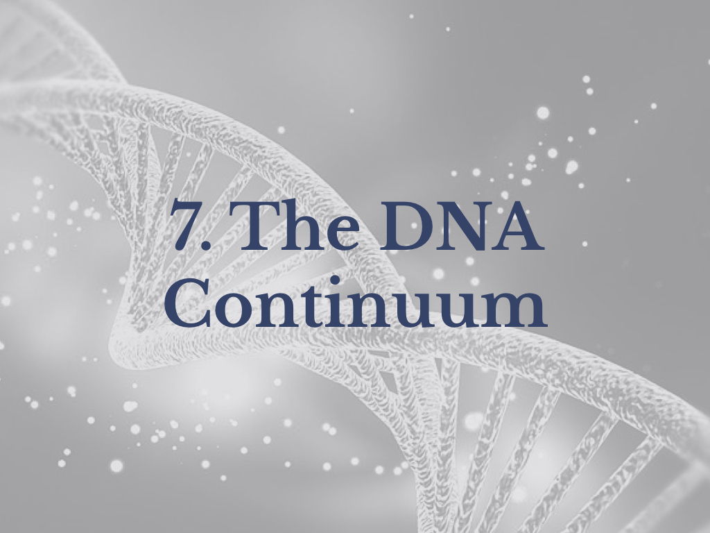 Lesson 7: The DNA Continuum