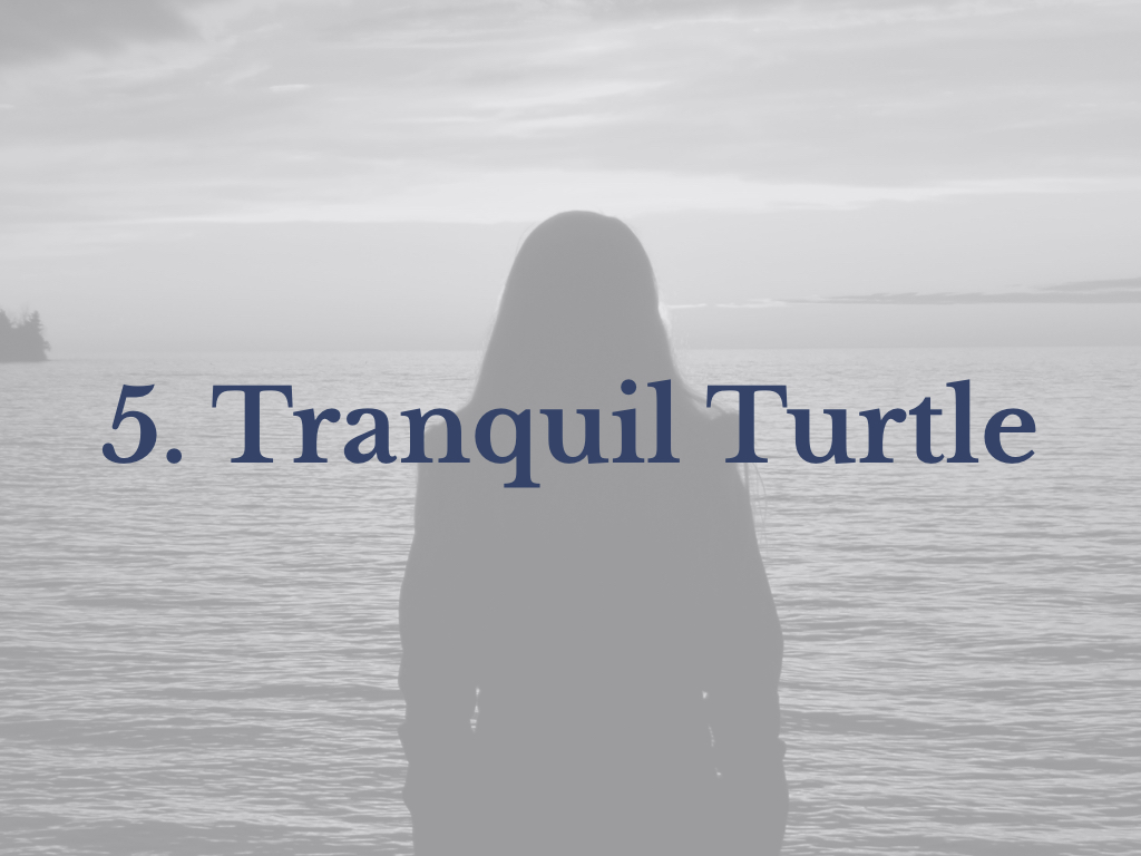 Lesson 5: Tranquil Turtle