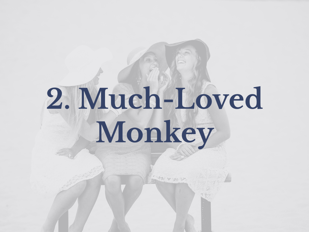 Lesson 2: Much-Loved Monkey