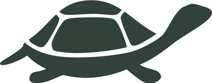 Tranquil Turtle