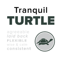 Turtle-Placard.png