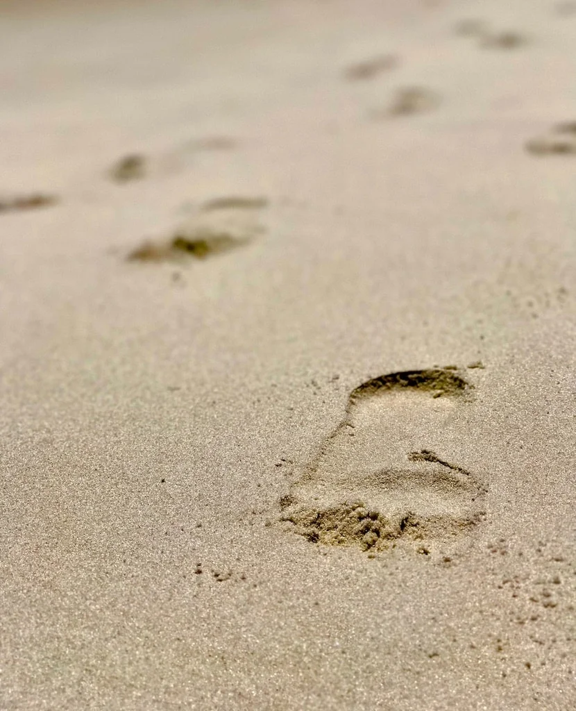 What Kind of Footprints Are You Leaving?