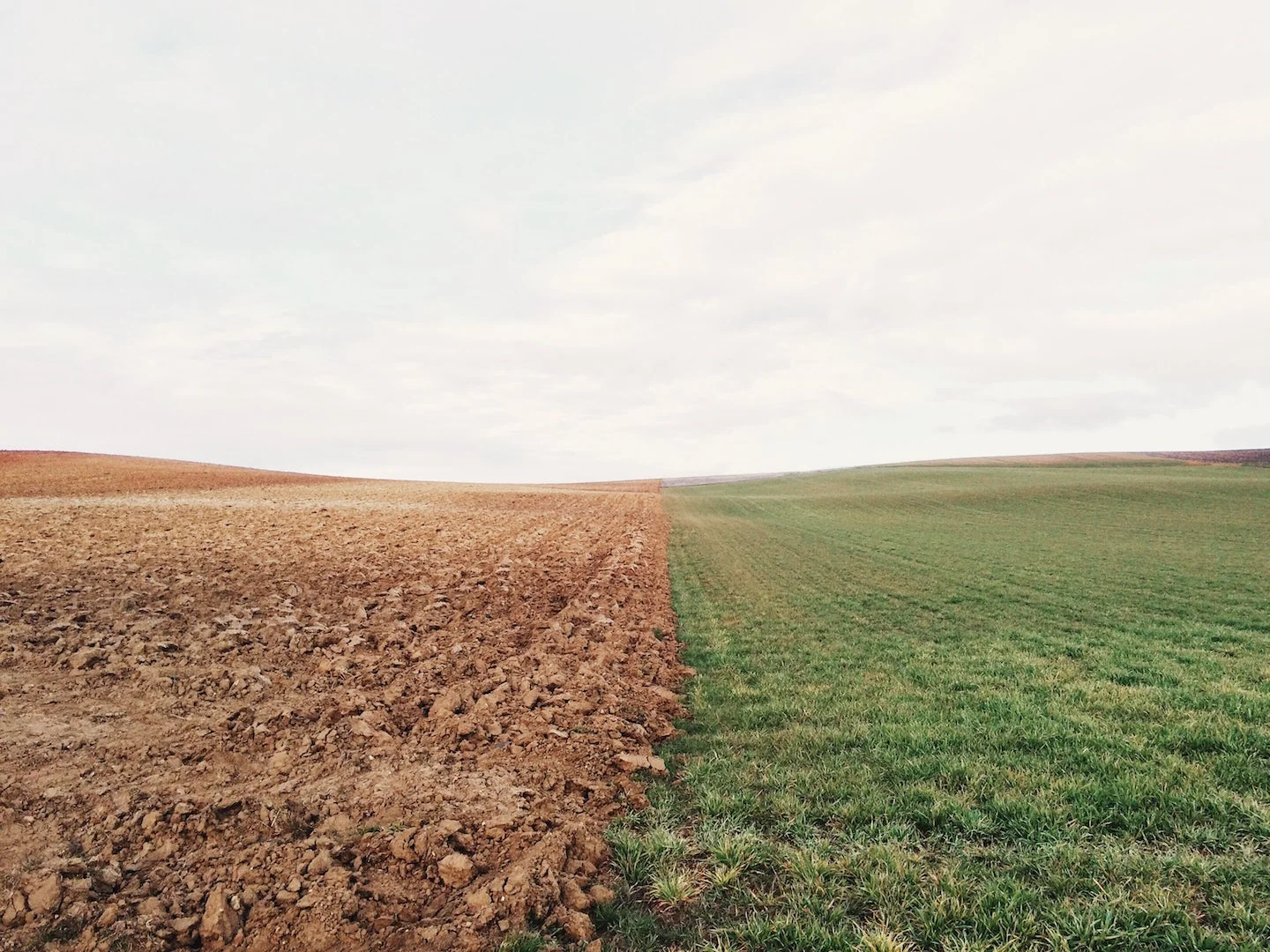 How Professional Coaching Can Change Your Career Path