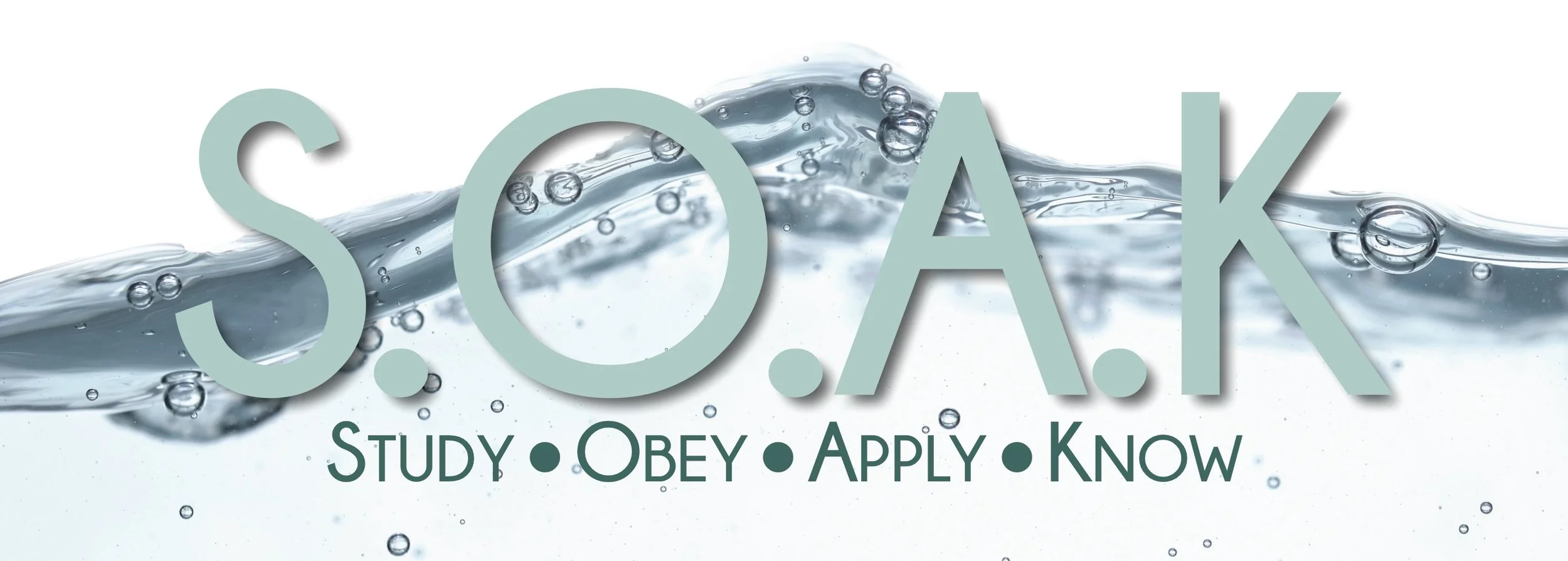 SOAK BANNER.jpg