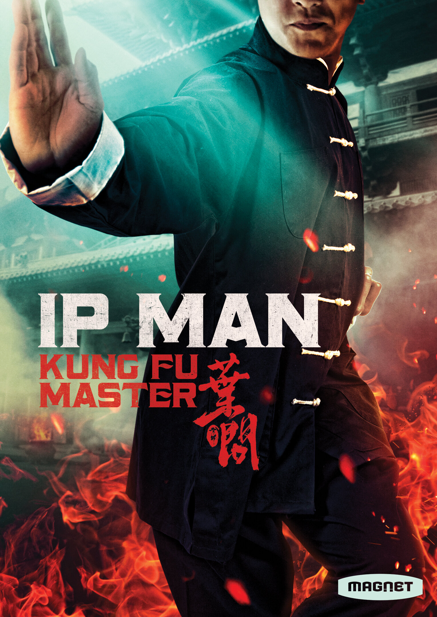 IPMAN: Kung Fu Master