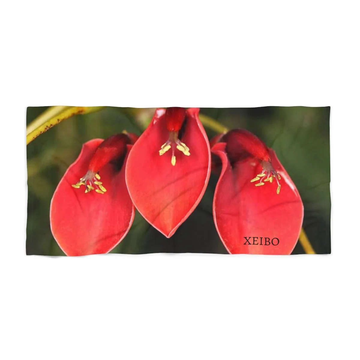 113c412f323cb61878014cc085757e4c