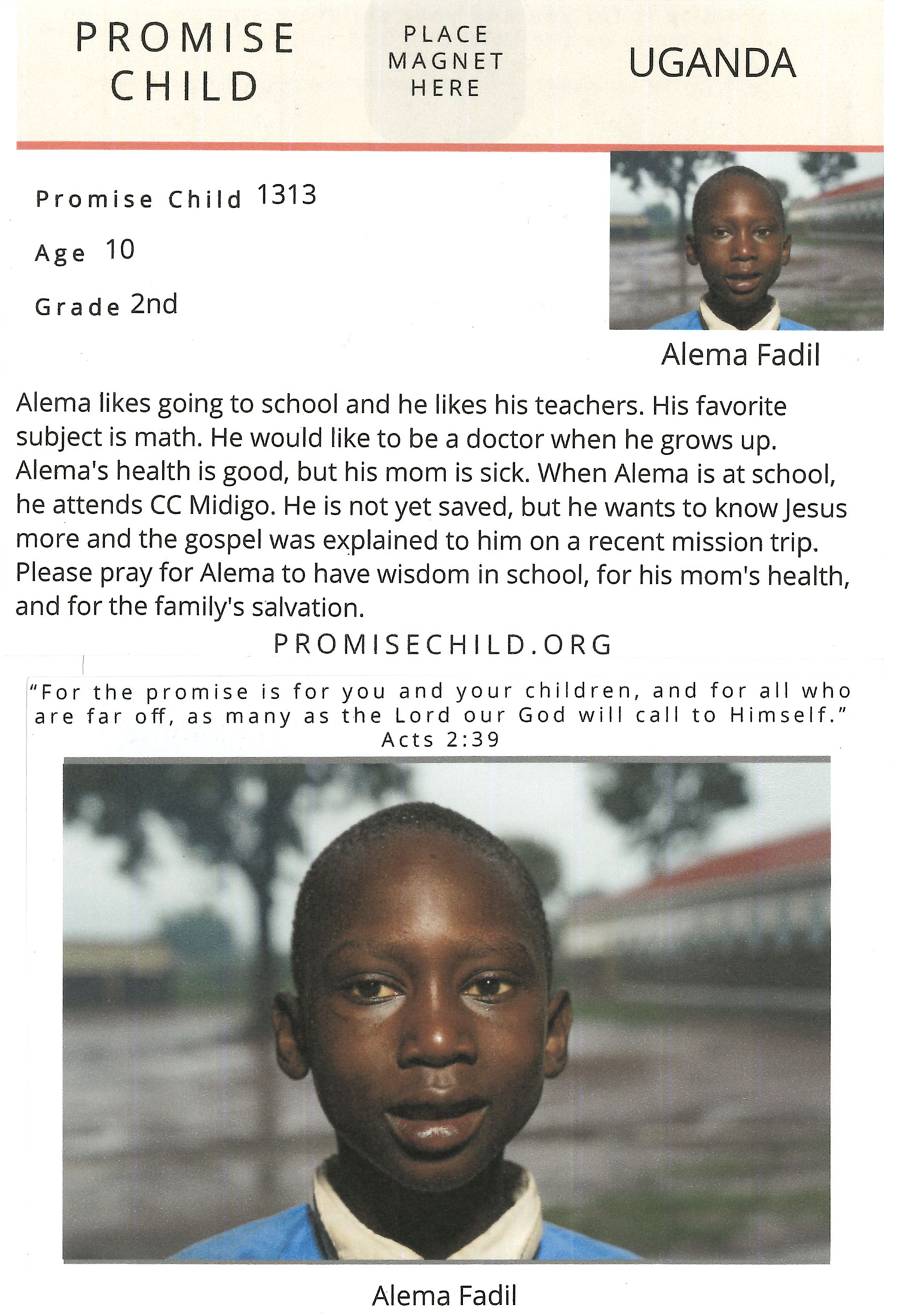 Alema Fadil card.png