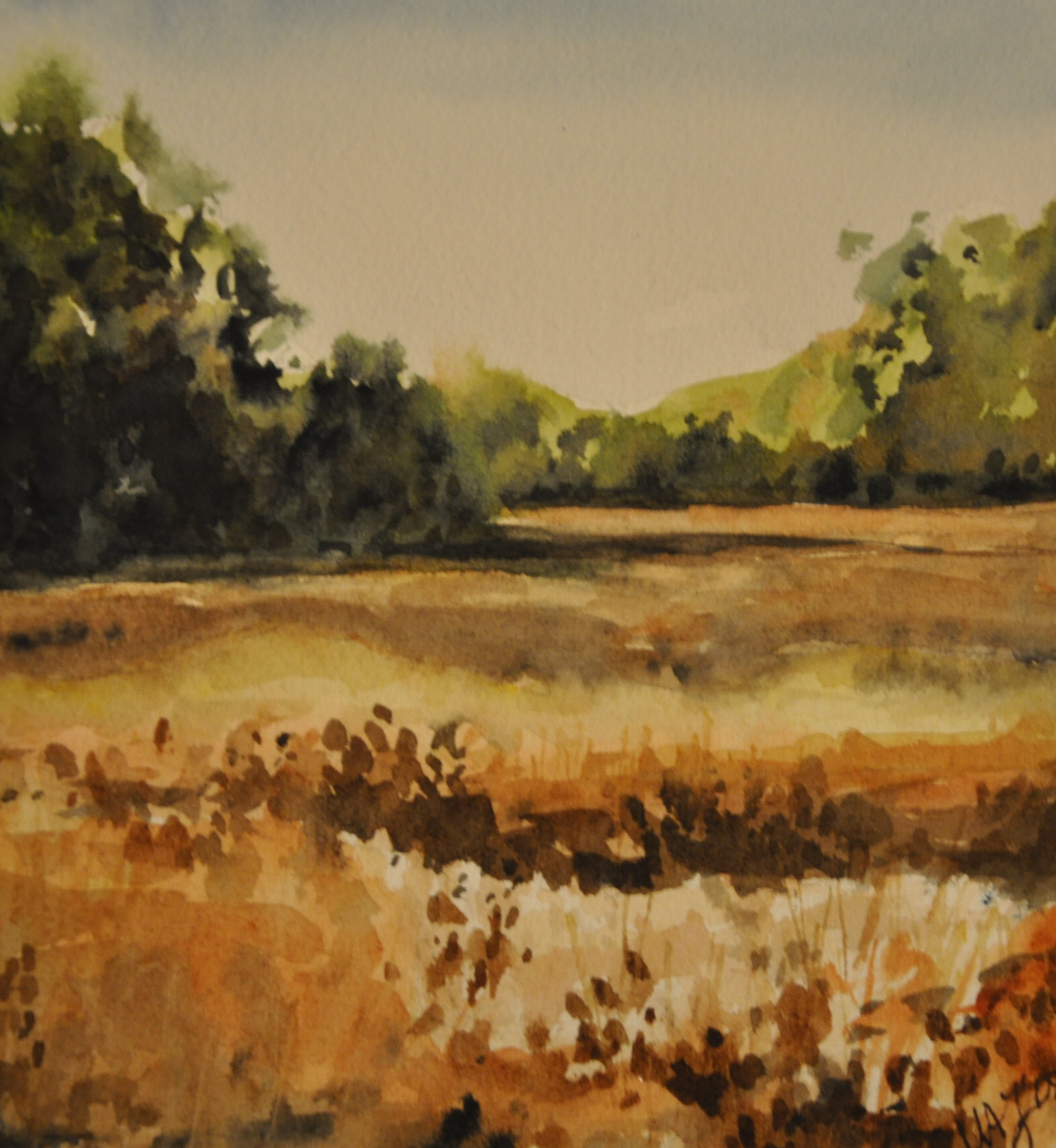 The Homeplace, Watercolor, 2008
