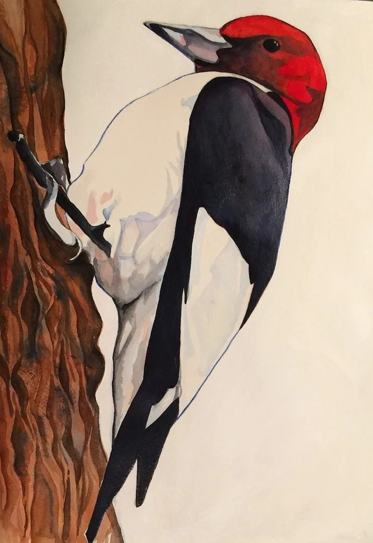Relentless Prayer, watercolor and acrylic medium, 2015