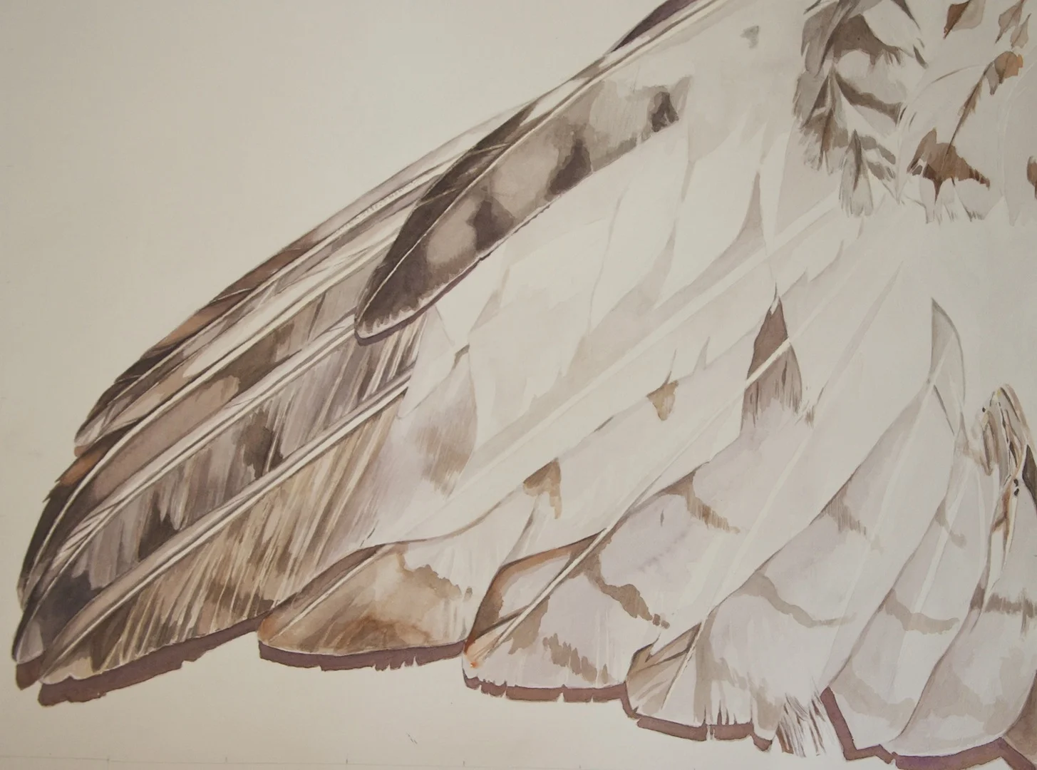 Roots and Wings