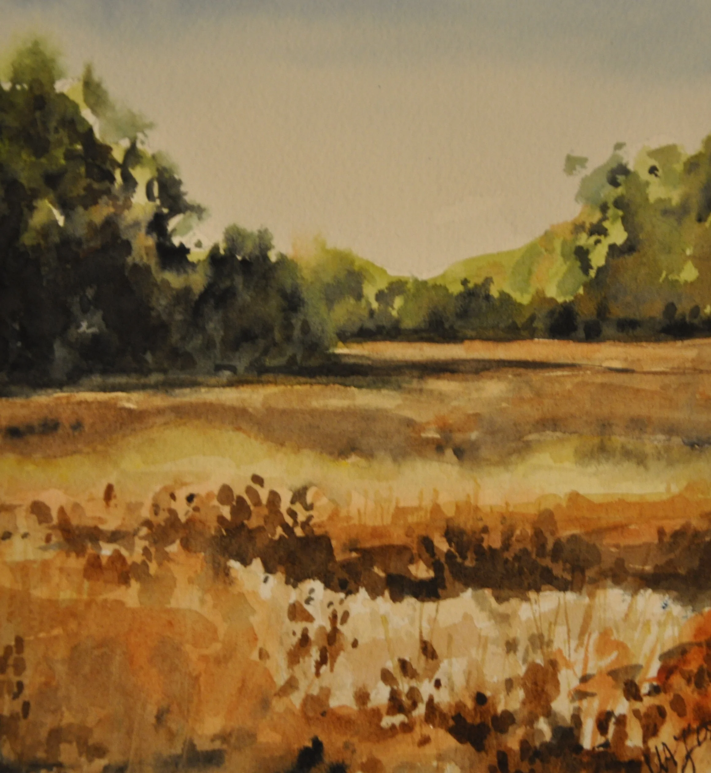 2009 Pee Dee Regional Juried Competition