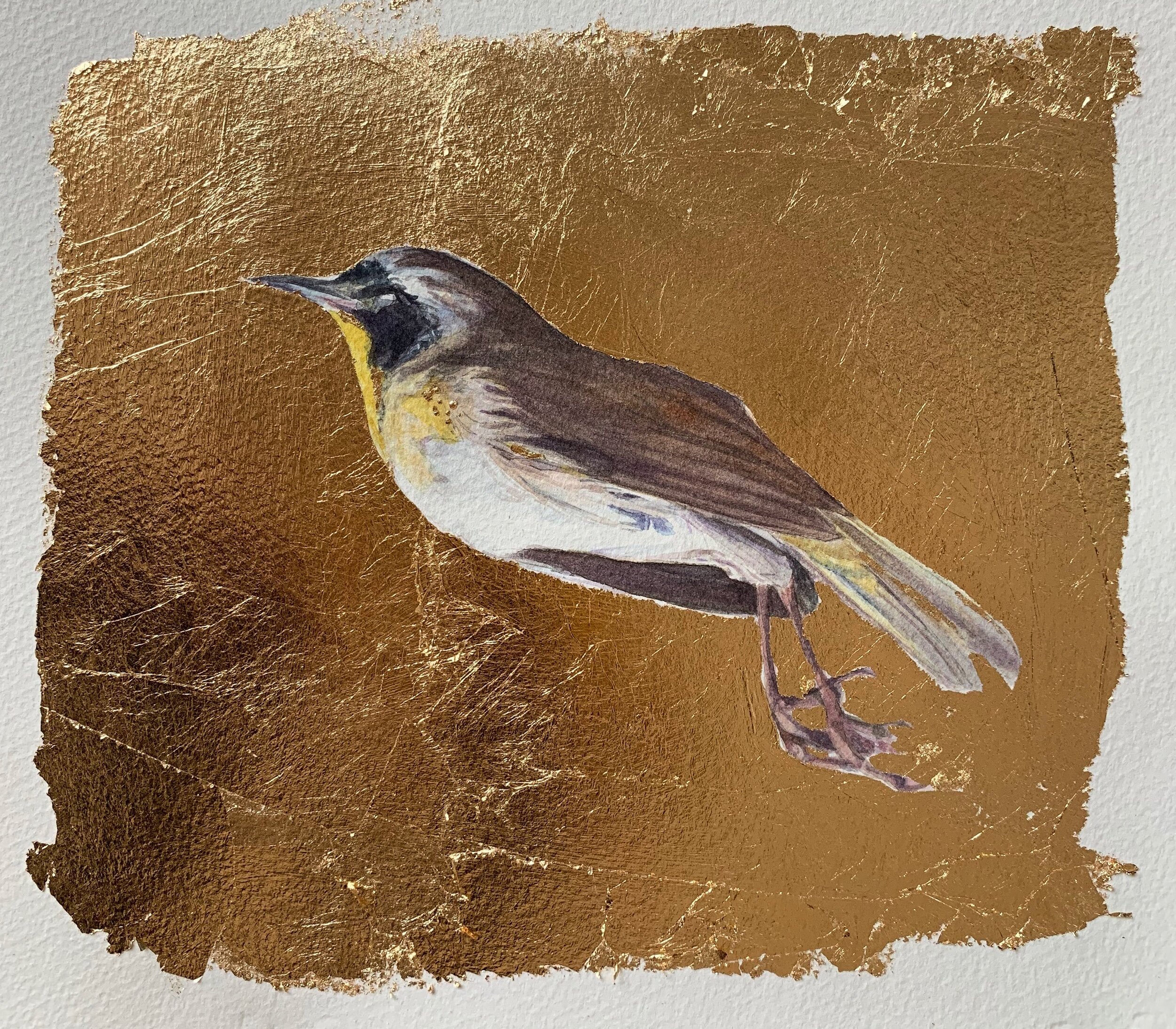 Common Yellowthroat in Gold