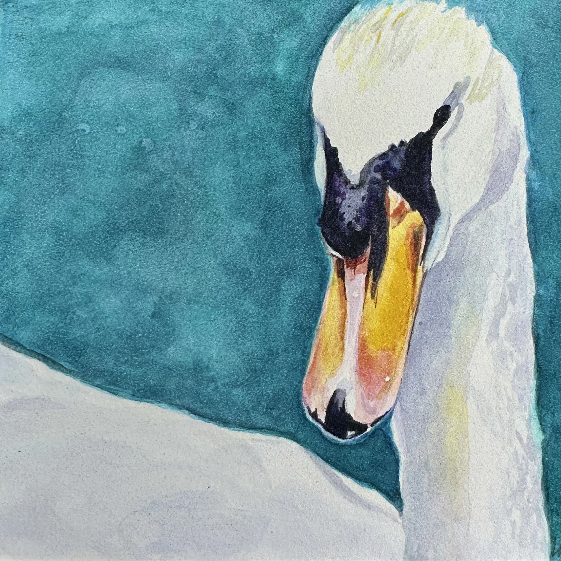 46E48964-223D-437B-B6C3-0C8B1E1DE60F.jpeg