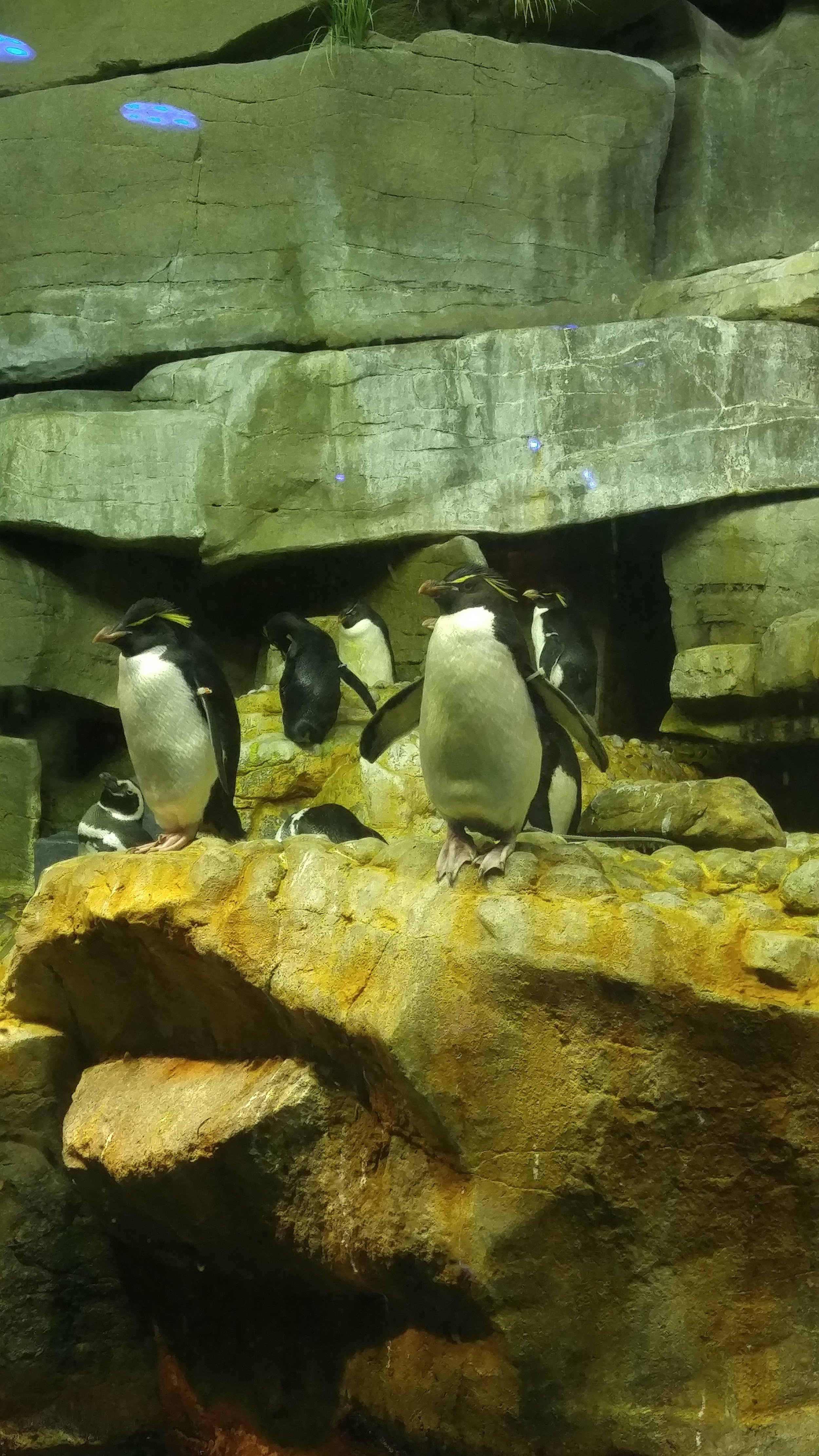 20160803_131029.jpg