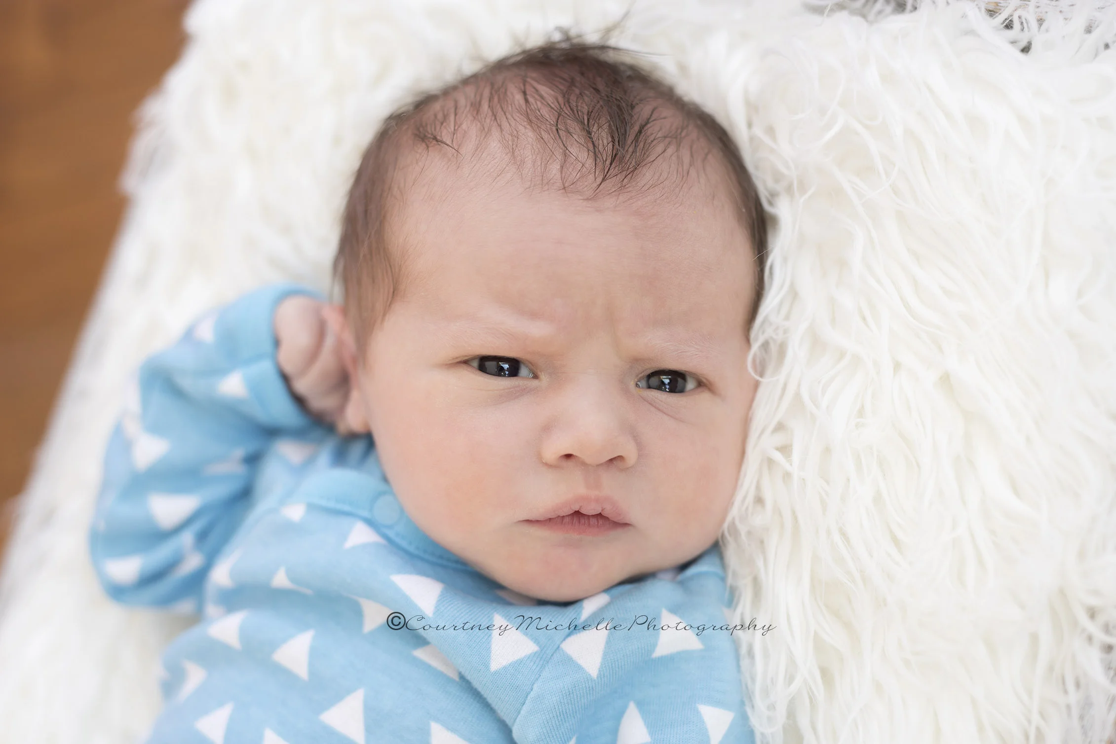 ©COPYRIGHTCMP-1746e.jpg