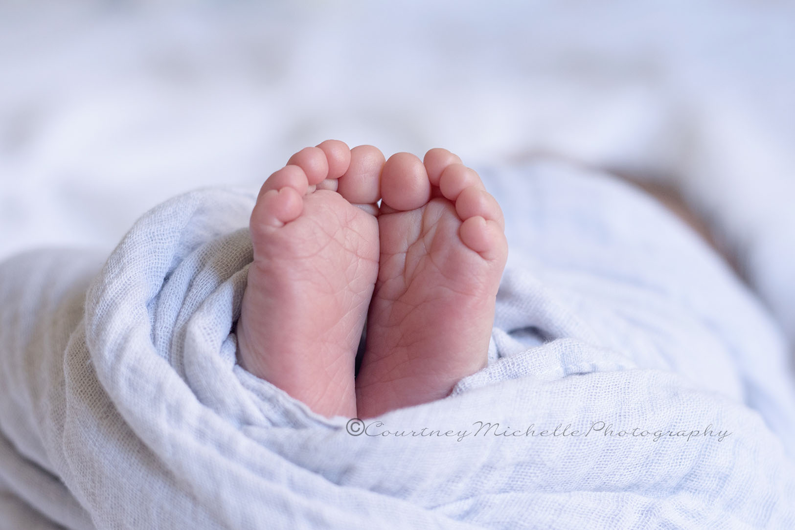 ©COPYRIGHTCMP-2065edit.jpg