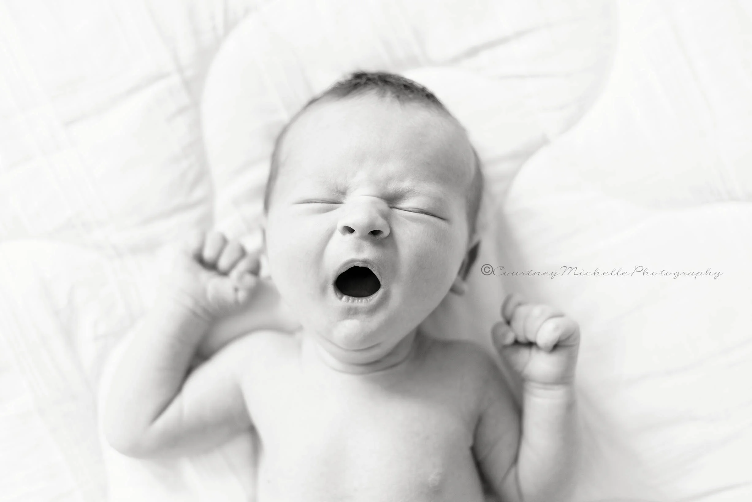 ©COPYRIGHTCMP-7938_edit.jpg