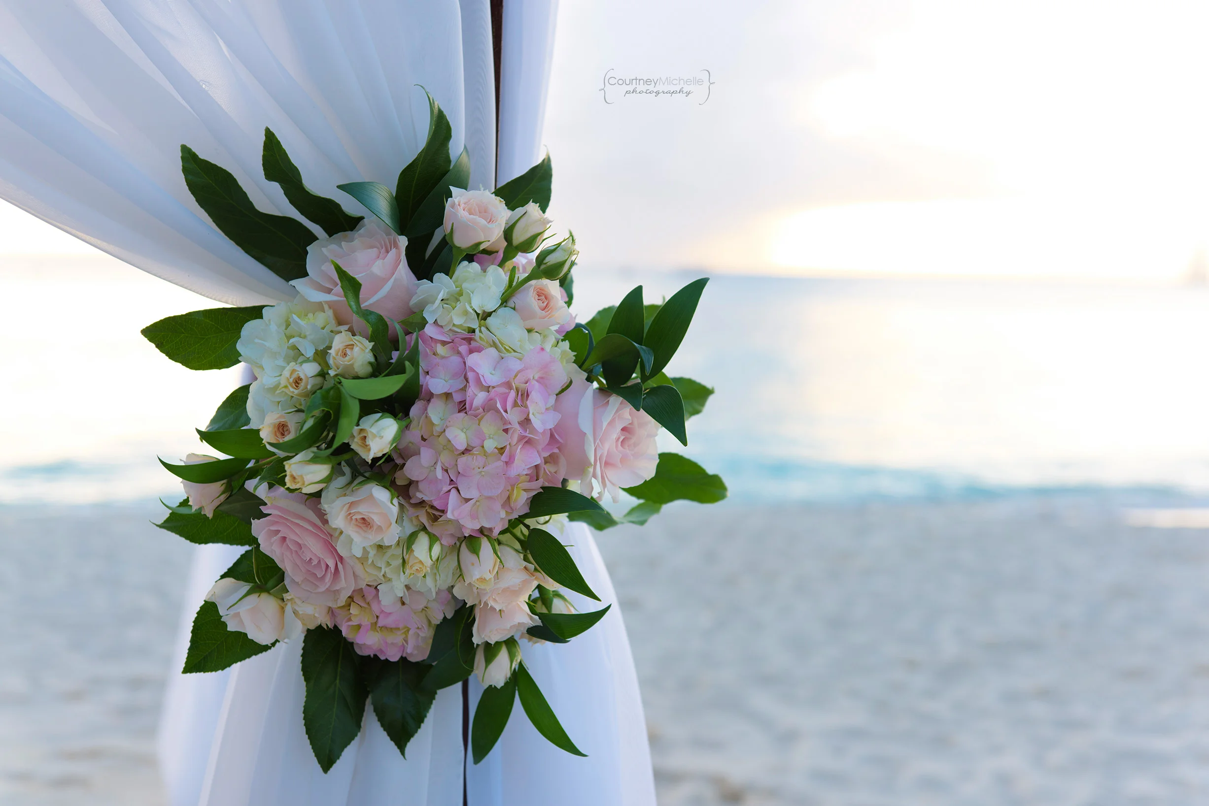 ©CopyrightCMP-LeaAnneRaj-7657.jpg