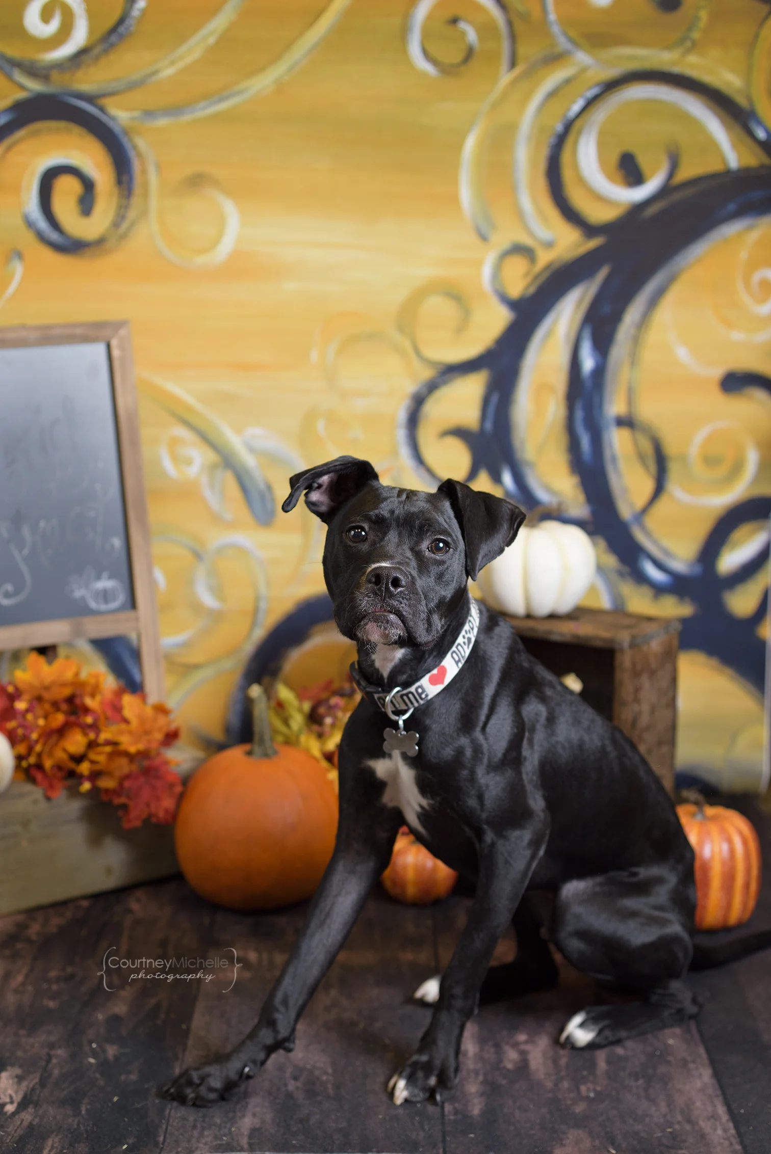 ©CopyrightCMP_Alive_Halloween5208-15.jpg