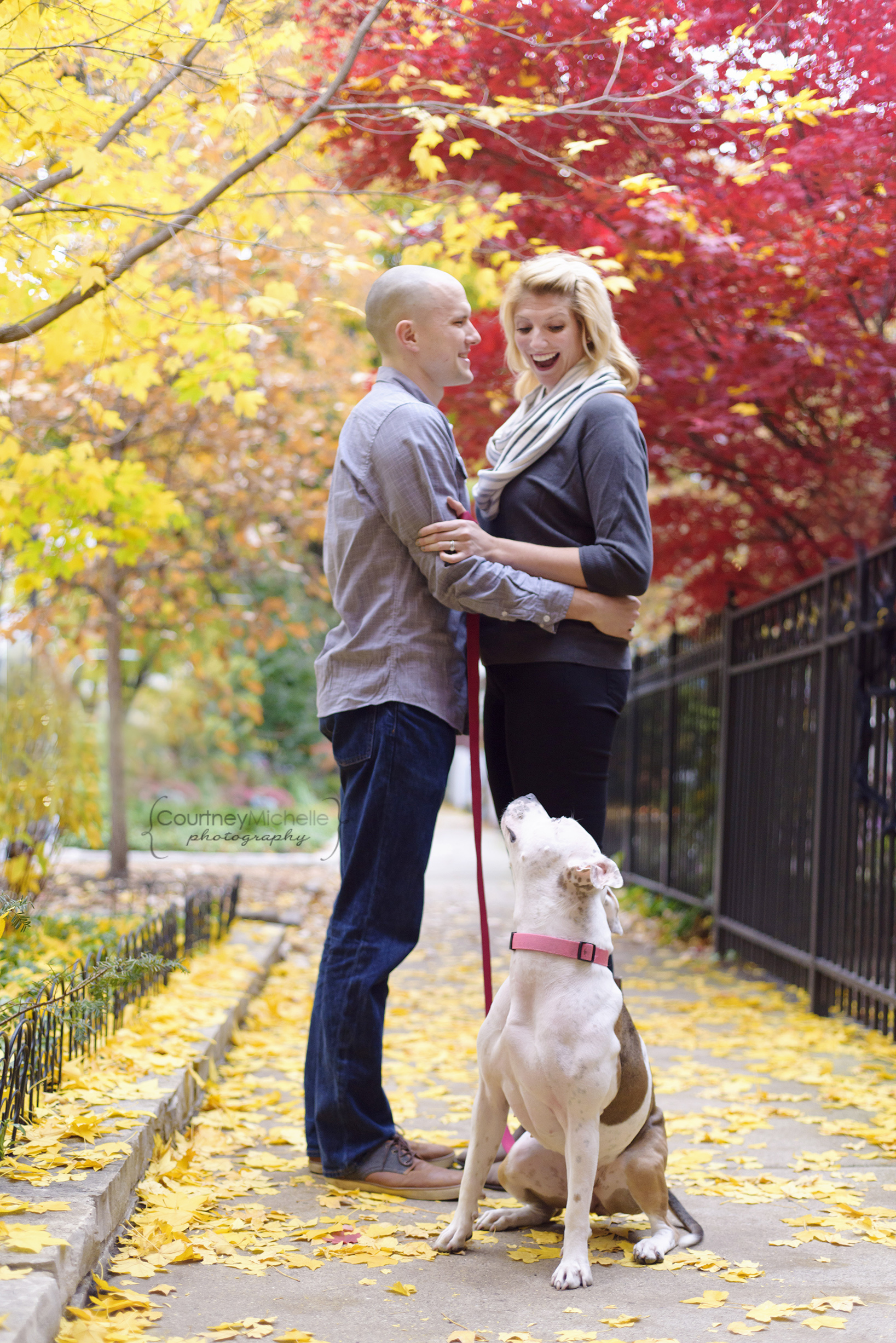 fall-portrait-couple-with-dog©COPYRIGHTCMP-howes-seske-5925.jpg