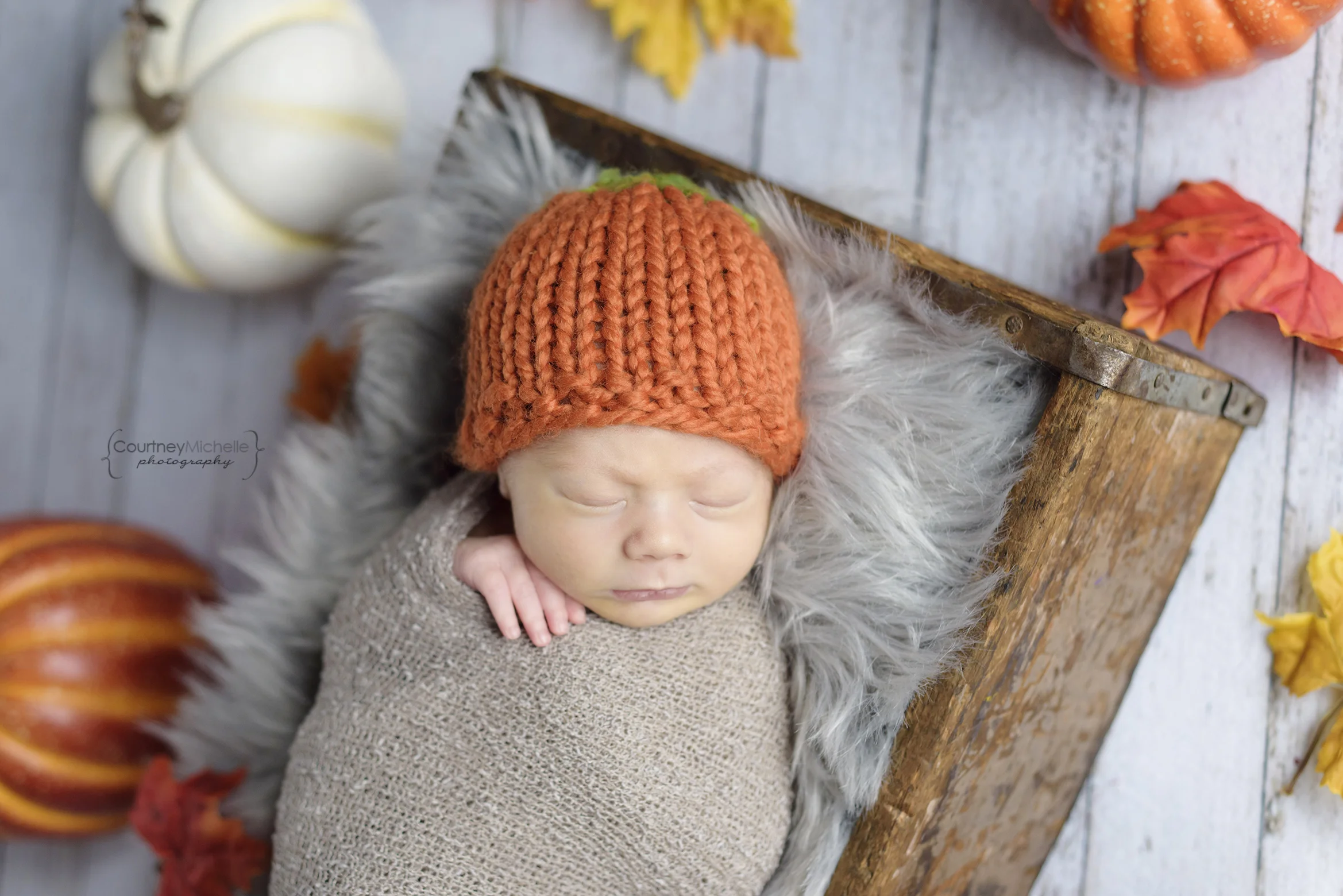 chicago-newborn-newborn-in-pumpkin-hat-with-leaves©COPYRIGHTCMP-6133edit.jpg