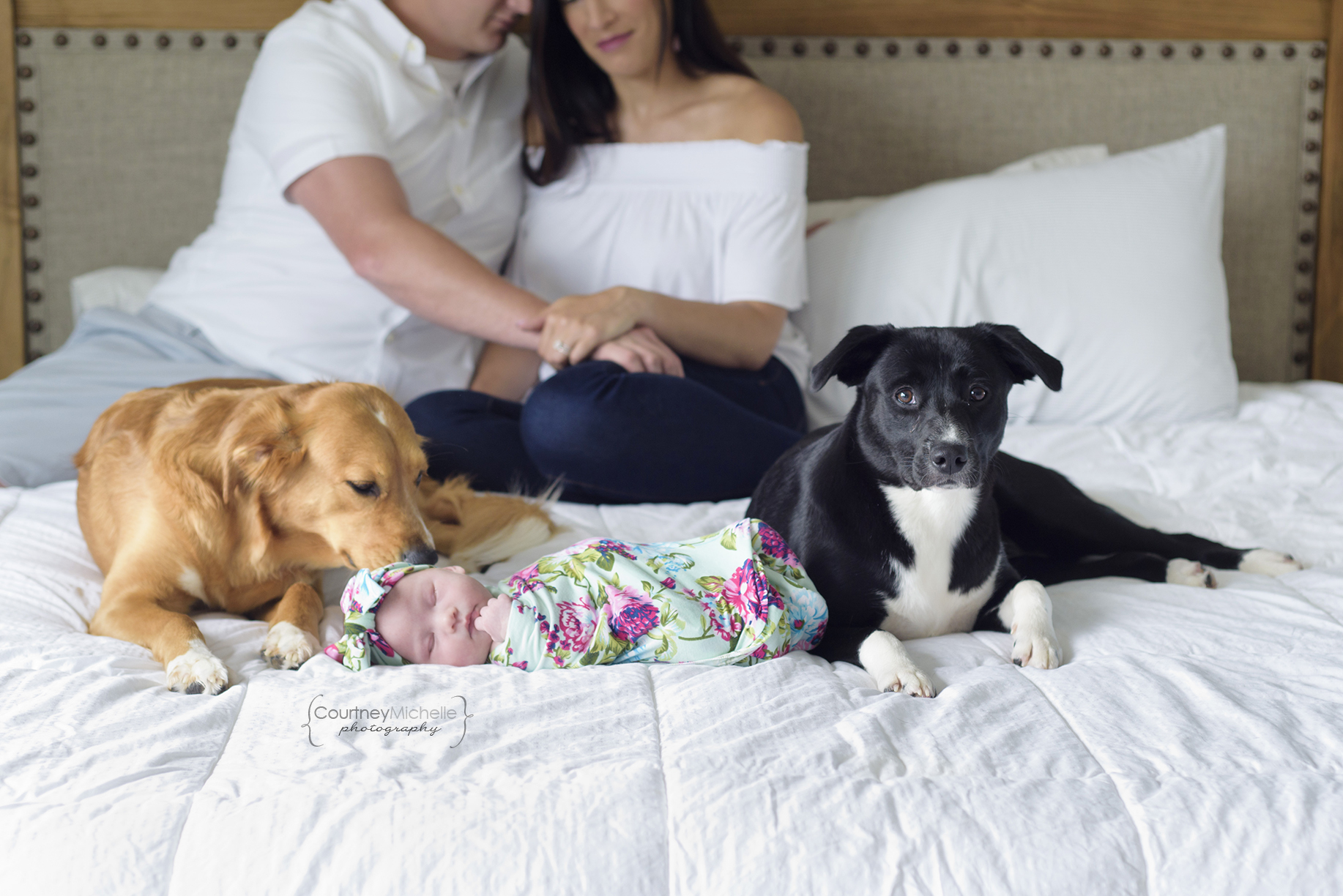 chicago-newborn-photographers-courtney-laper-lifestyle-session-newborn-on-bed-with-dogsCOPYRIGHTCMP-Camille20190705-2673-19.jpg