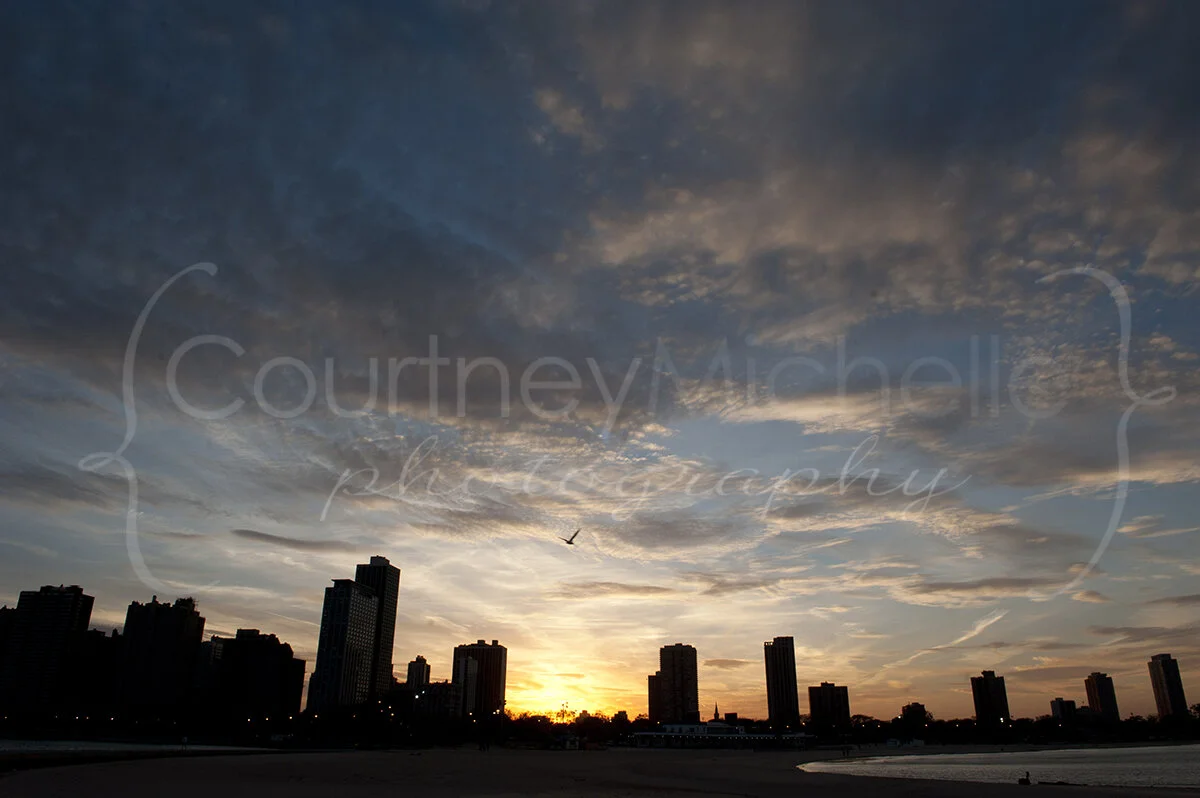 COPYRIGHTCMP-0187.jpg