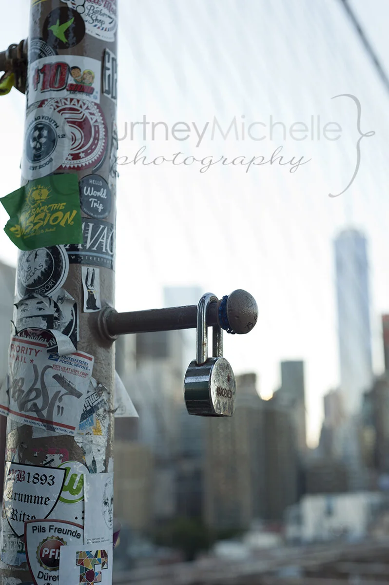 new-york-lock-bridgeCOPYRIGHTCMP-8746.jpg