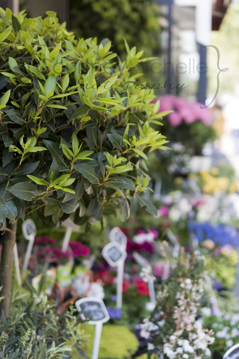 paris-flower-shop©COPYRIGHTCMP-2019-paris-photographer-6298.jpg