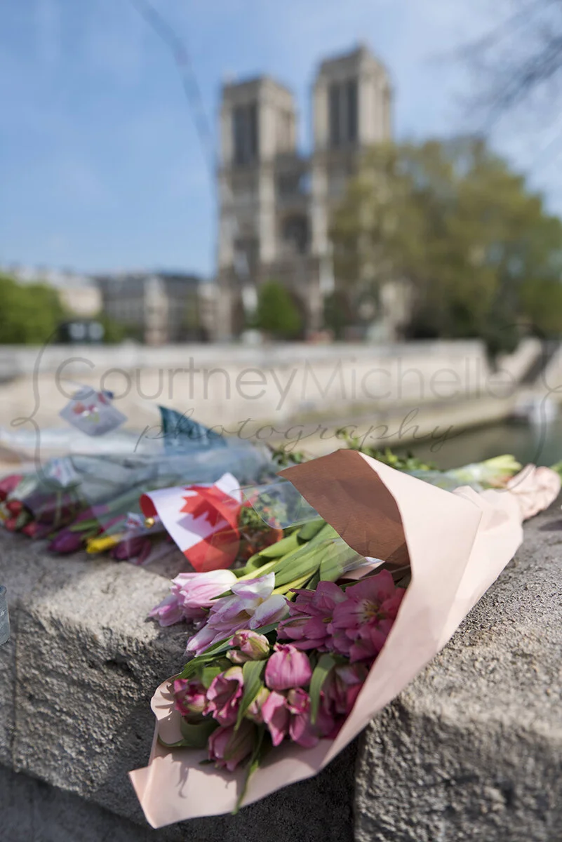 paris-flowers-tribute-notre-dame-days-after-fire