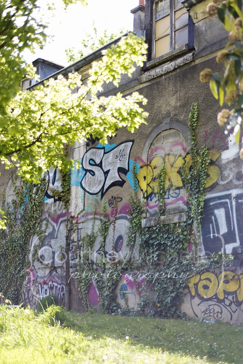 graffiti art wall in paris