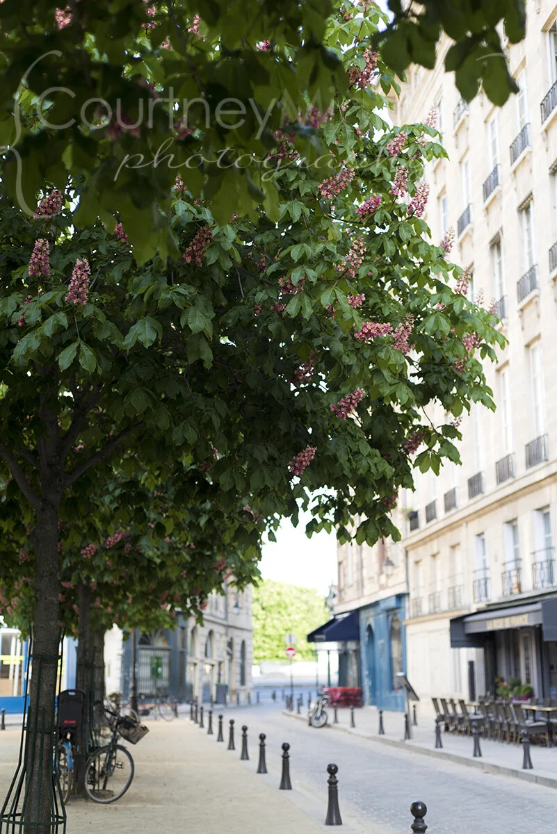 paris-street©COPYRIGHTCMP-2019-paris-photographer-6748.jpg