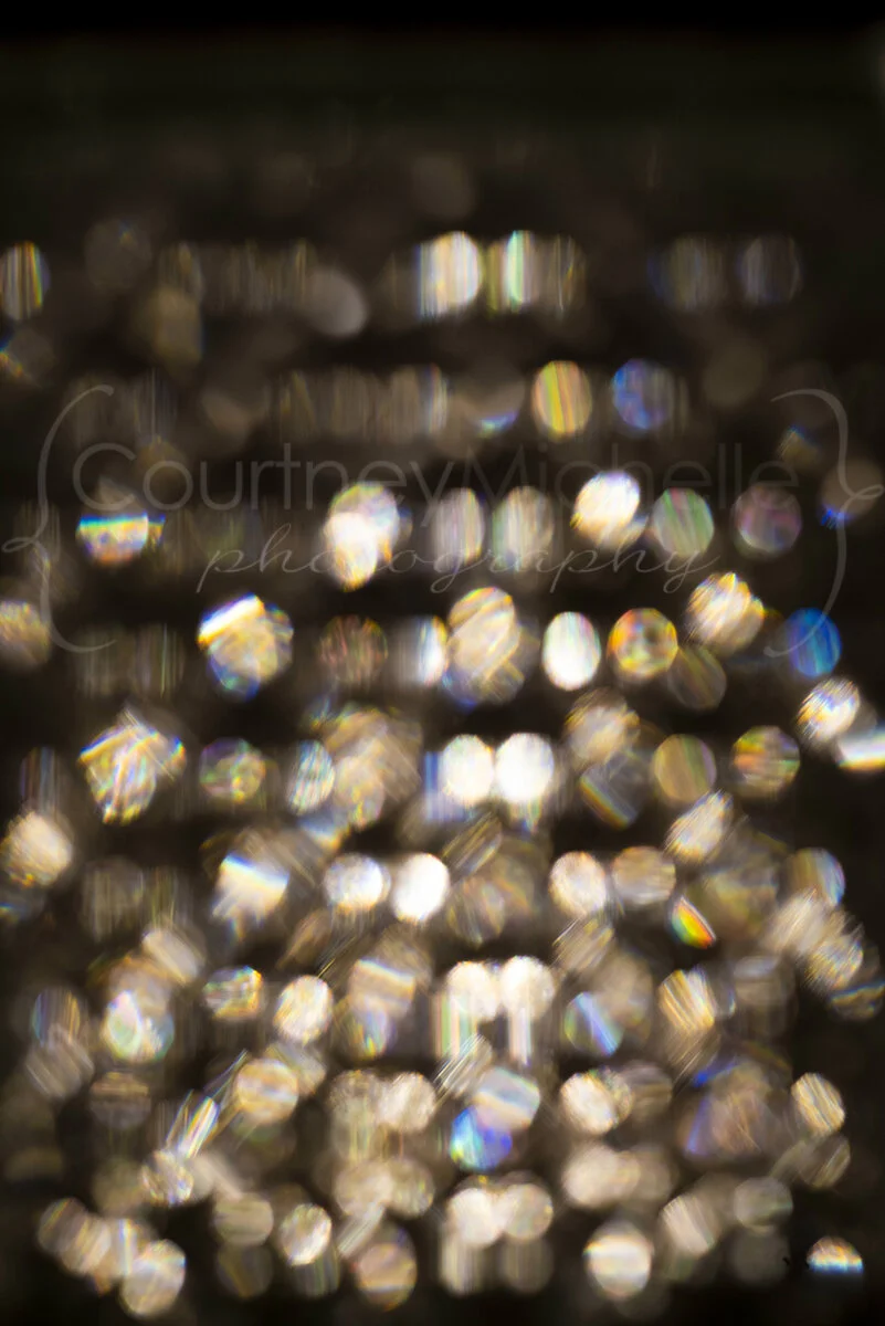 -bokeh©CopyrightCMP-4409.jpg