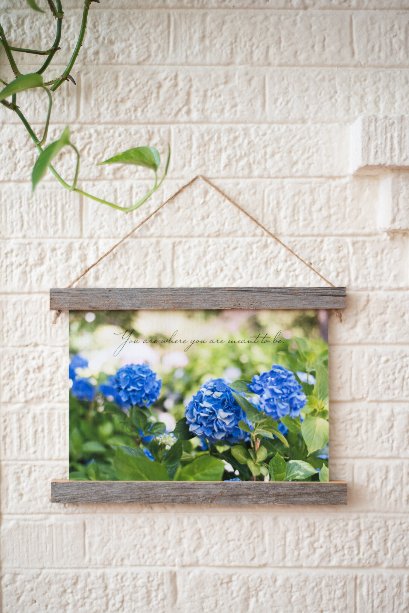 8-8x12hanging-canvas_DSC9587.jpg