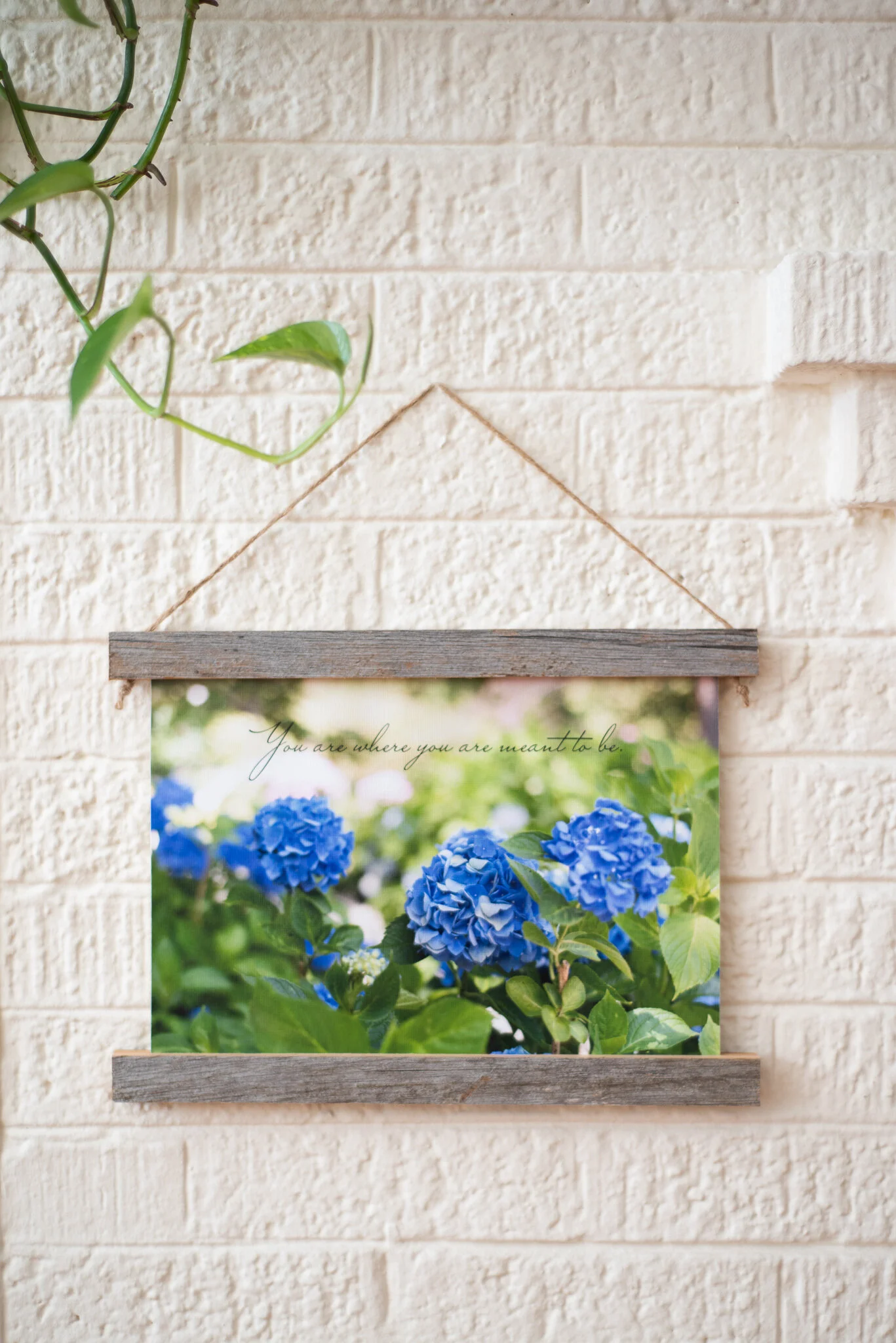 8-8x12hanging-canvas_DSC9587.jpg