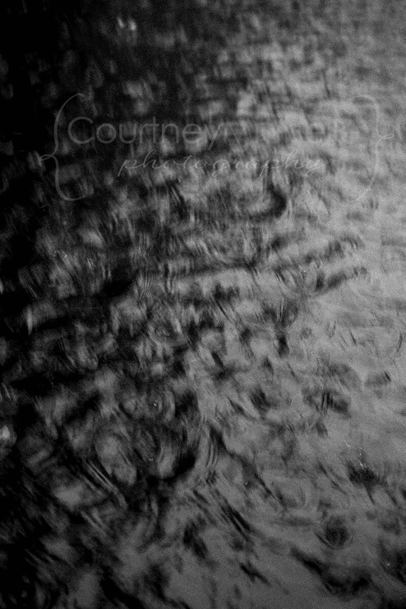 abstract-puddle-courtney-laper-2020©CopyrightCMP-8679.jpg