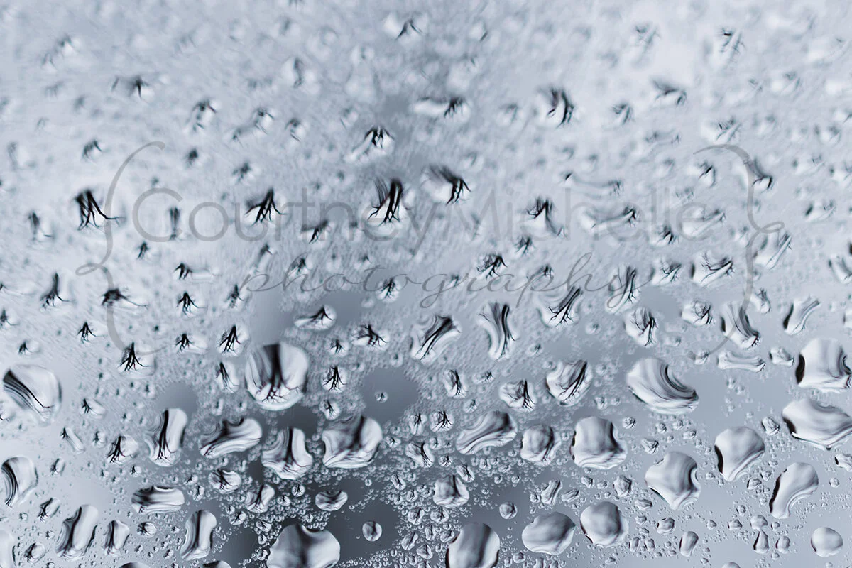 tree-reflection-in-rain-drops-©CourtneyLaper2020_DSC5379.jpg