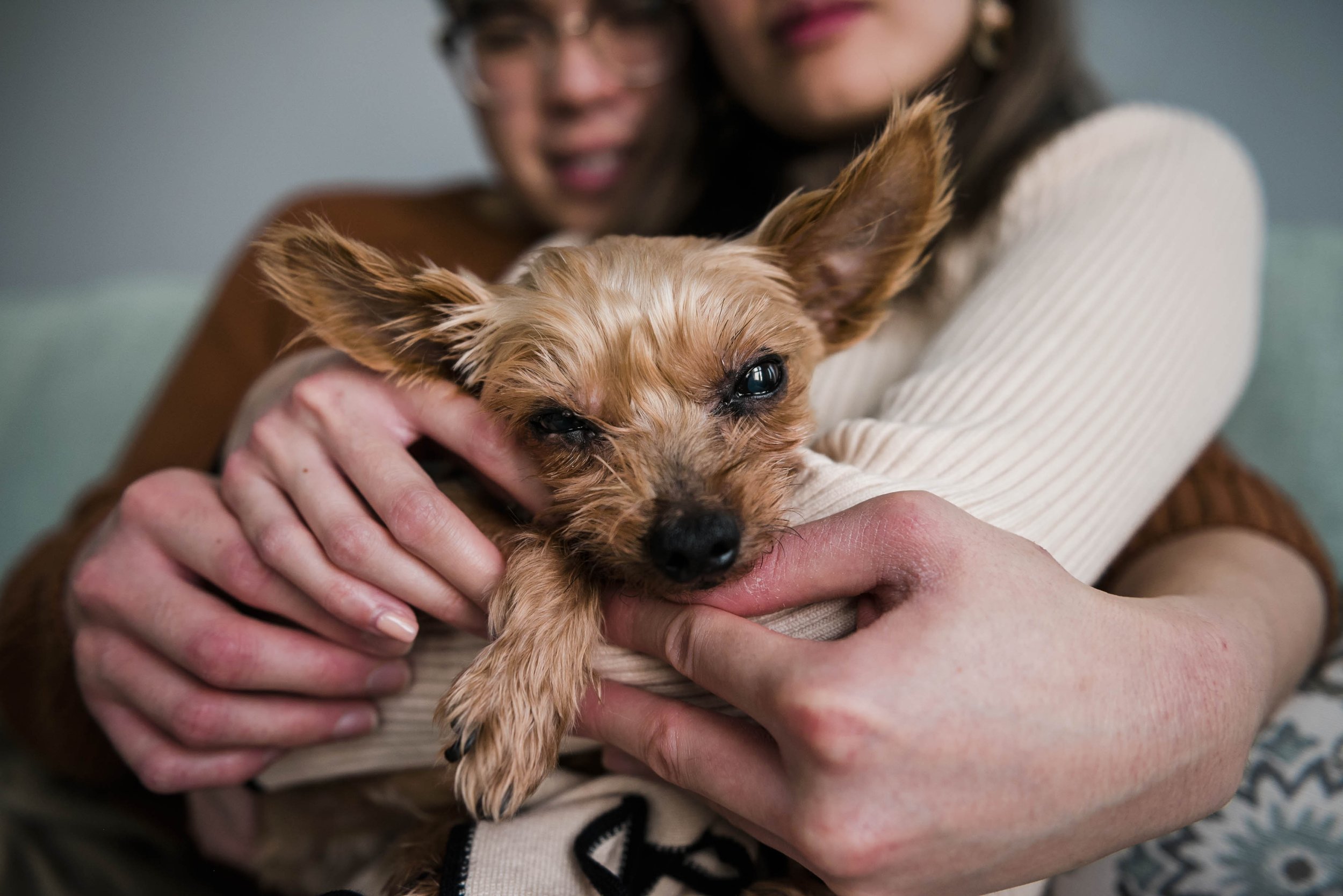 chicago-pet-maternity-newborn-photographer-courtney-laper-2023©CopyrightCMP-59.jpg